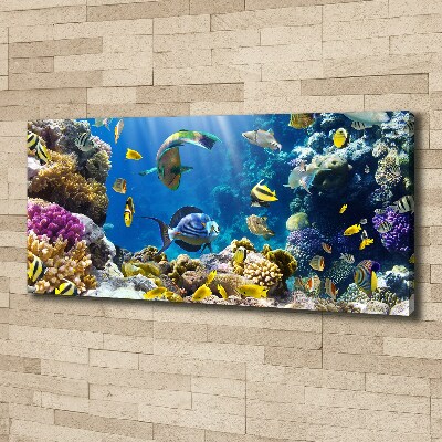 Canvas wall art Coral reef