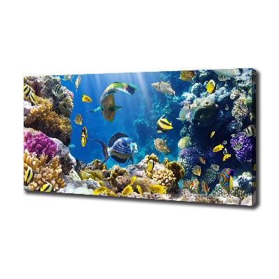 Canvas wall art Coral reef