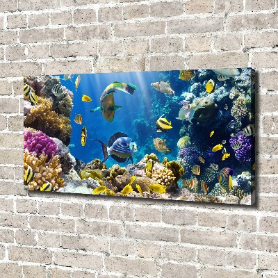 Canvas wall art Coral reef