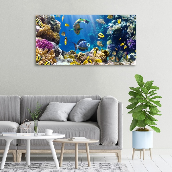 Canvas wall art Coral reef