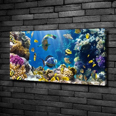 Canvas wall art Coral reef