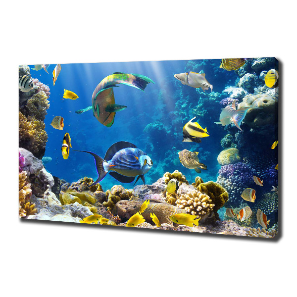 Canvas wall art Coral reef