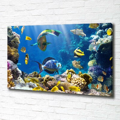 Canvas wall art Coral reef