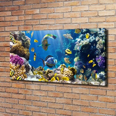 Canvas wall art Coral reef