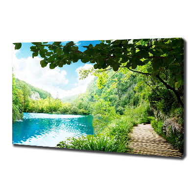 Canvas wall art Waterfall in the forest