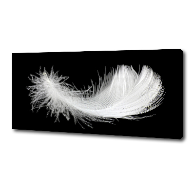 Canvas wall art Feather