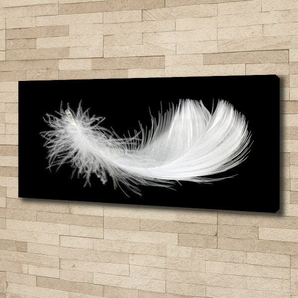 Canvas wall art Feather