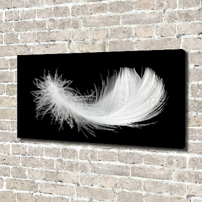 Canvas wall art Feather