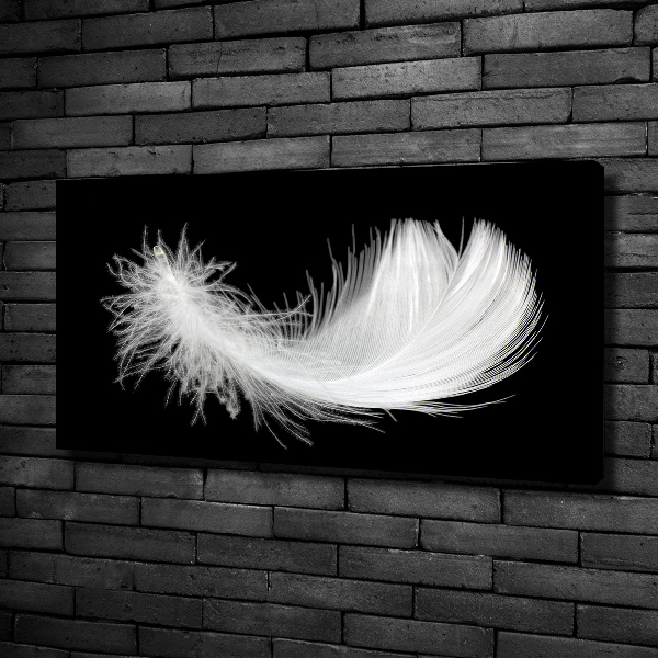 Canvas wall art Feather