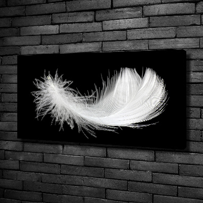 Canvas wall art Feather