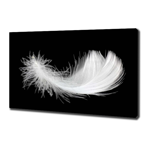 Canvas wall art Feather