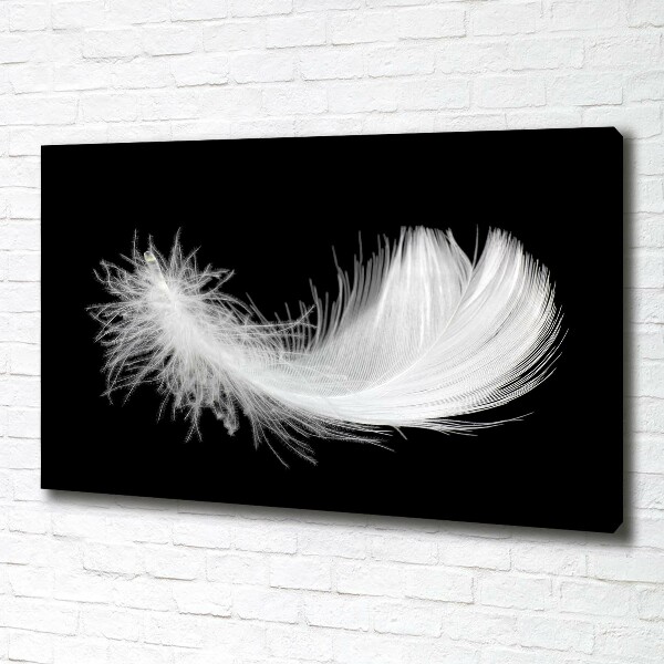 Canvas wall art Feather