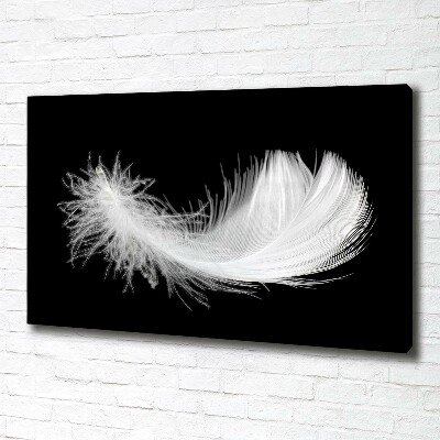 Canvas wall art Feather