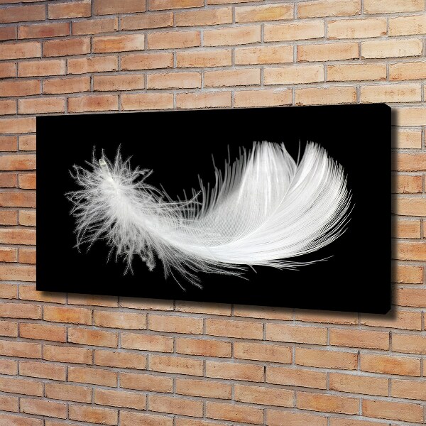 Canvas wall art Feather