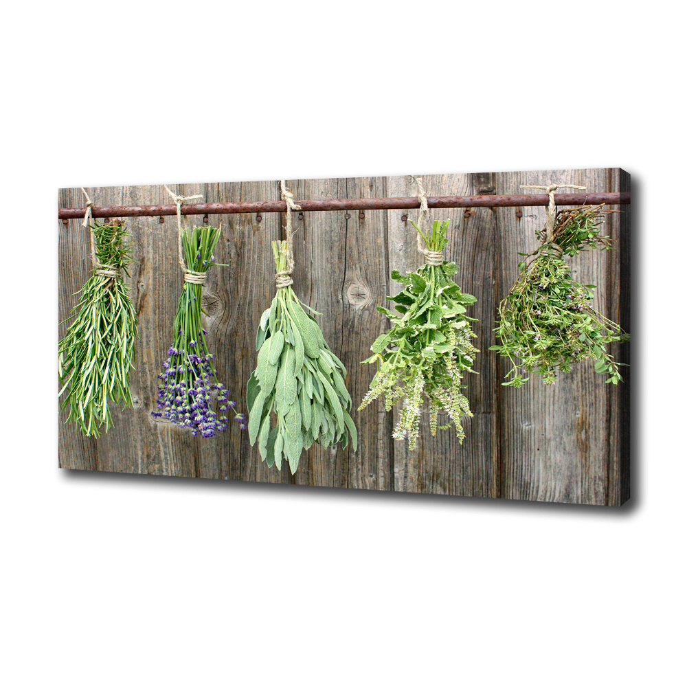 Canvas wall art Herbs on a string