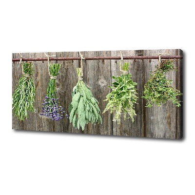 Canvas wall art Herbs on a string