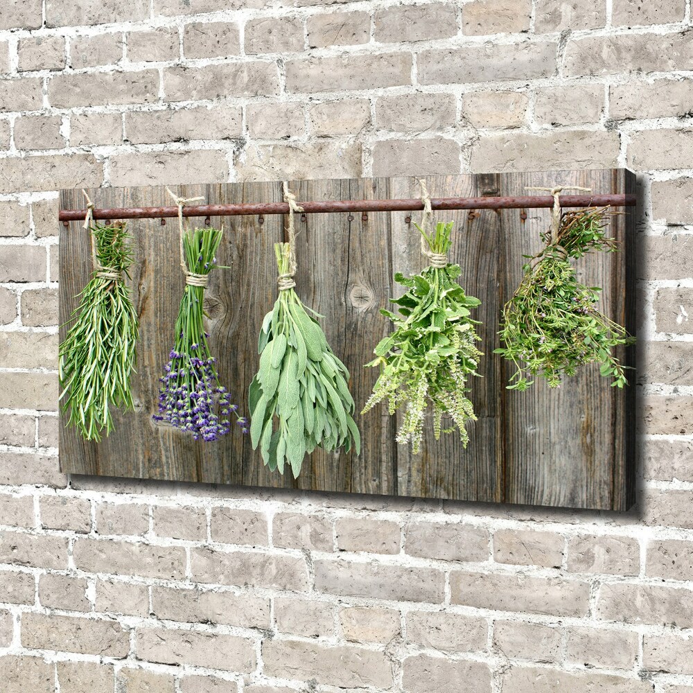 Canvas wall art Herbs on a string