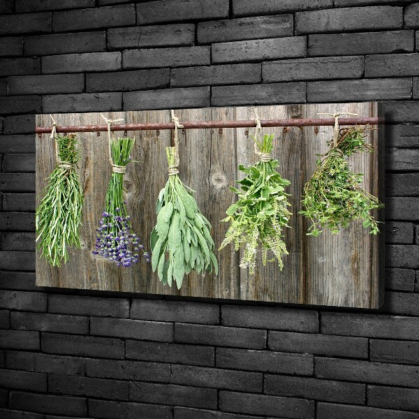 Canvas wall art Herbs on a string