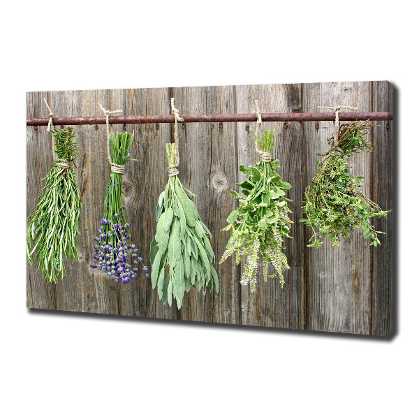 Canvas wall art Herbs on a string