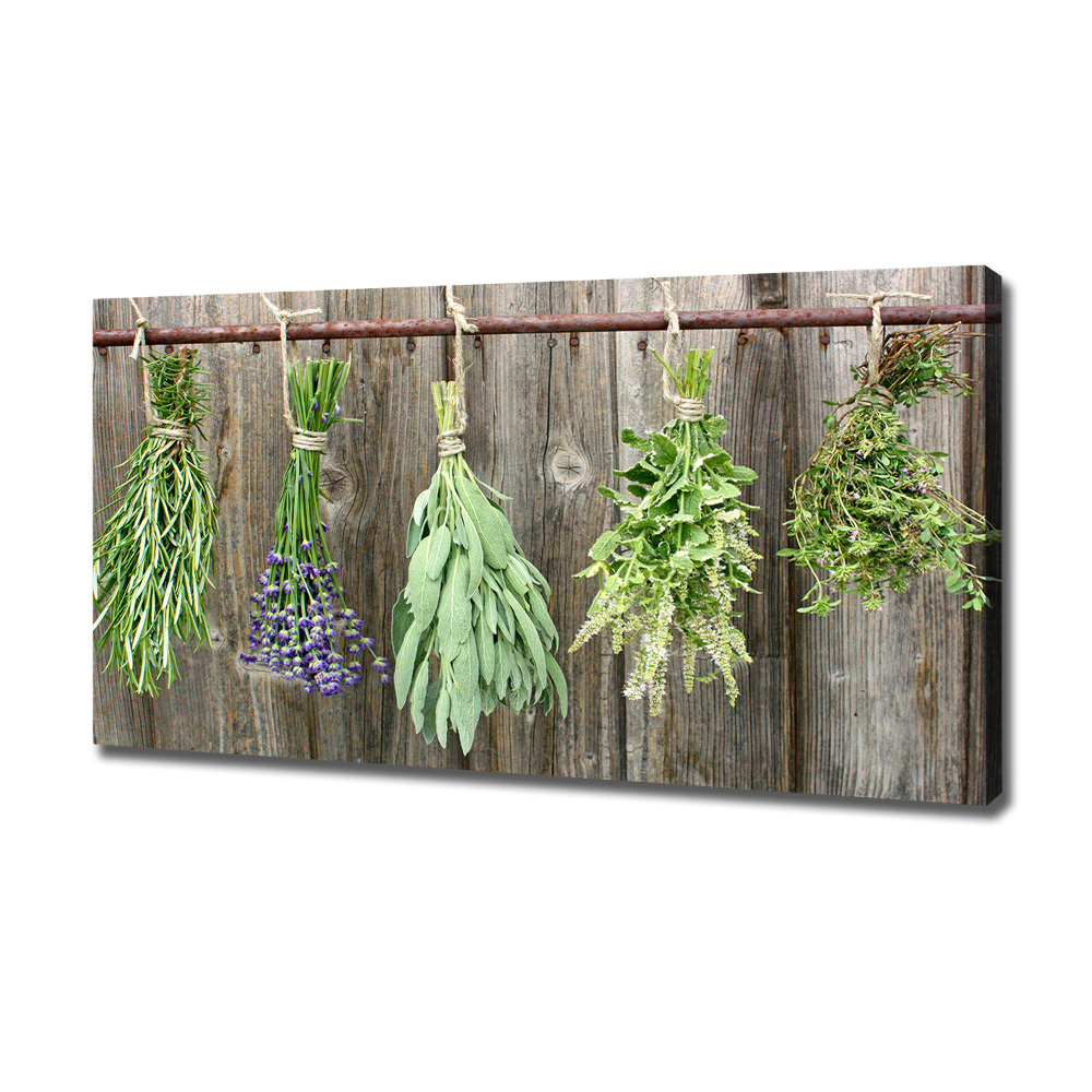 Canvas wall art Herbs on a string