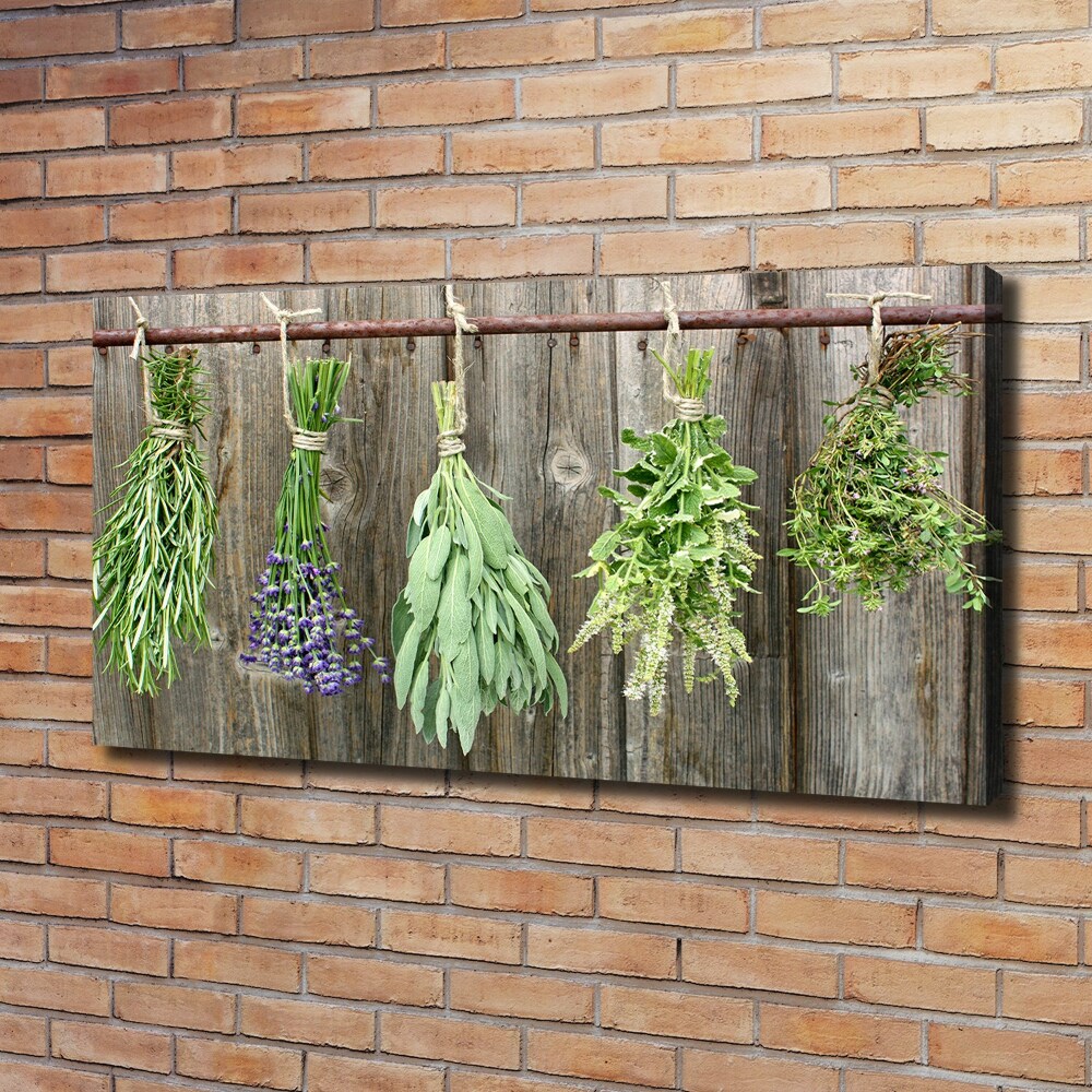 Canvas wall art Herbs on a string