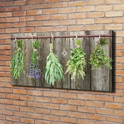 Canvas wall art Herbs on a string