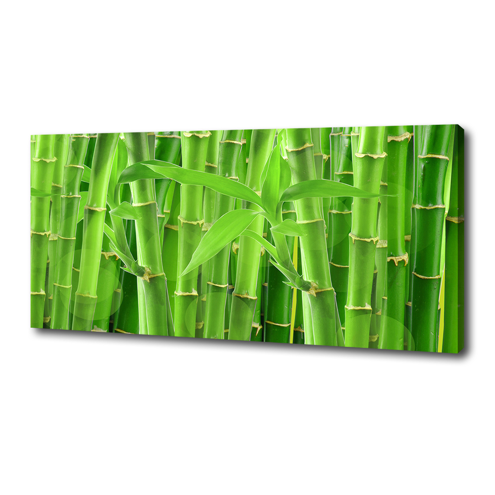 Canvas wall art Bamboo