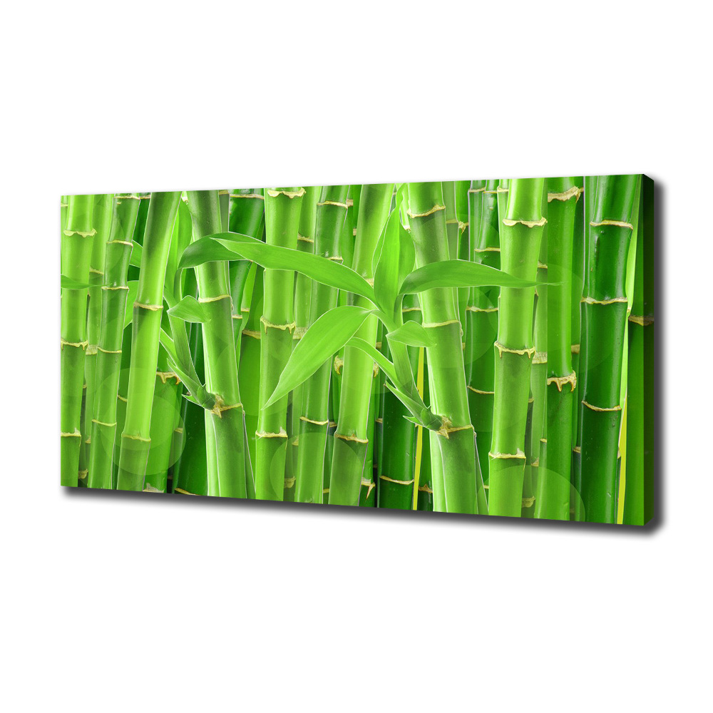 Canvas wall art Bamboo