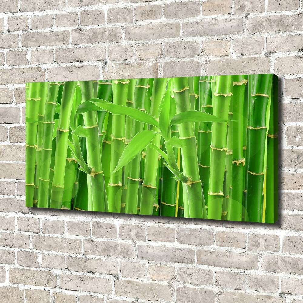 Canvas wall art Bamboo