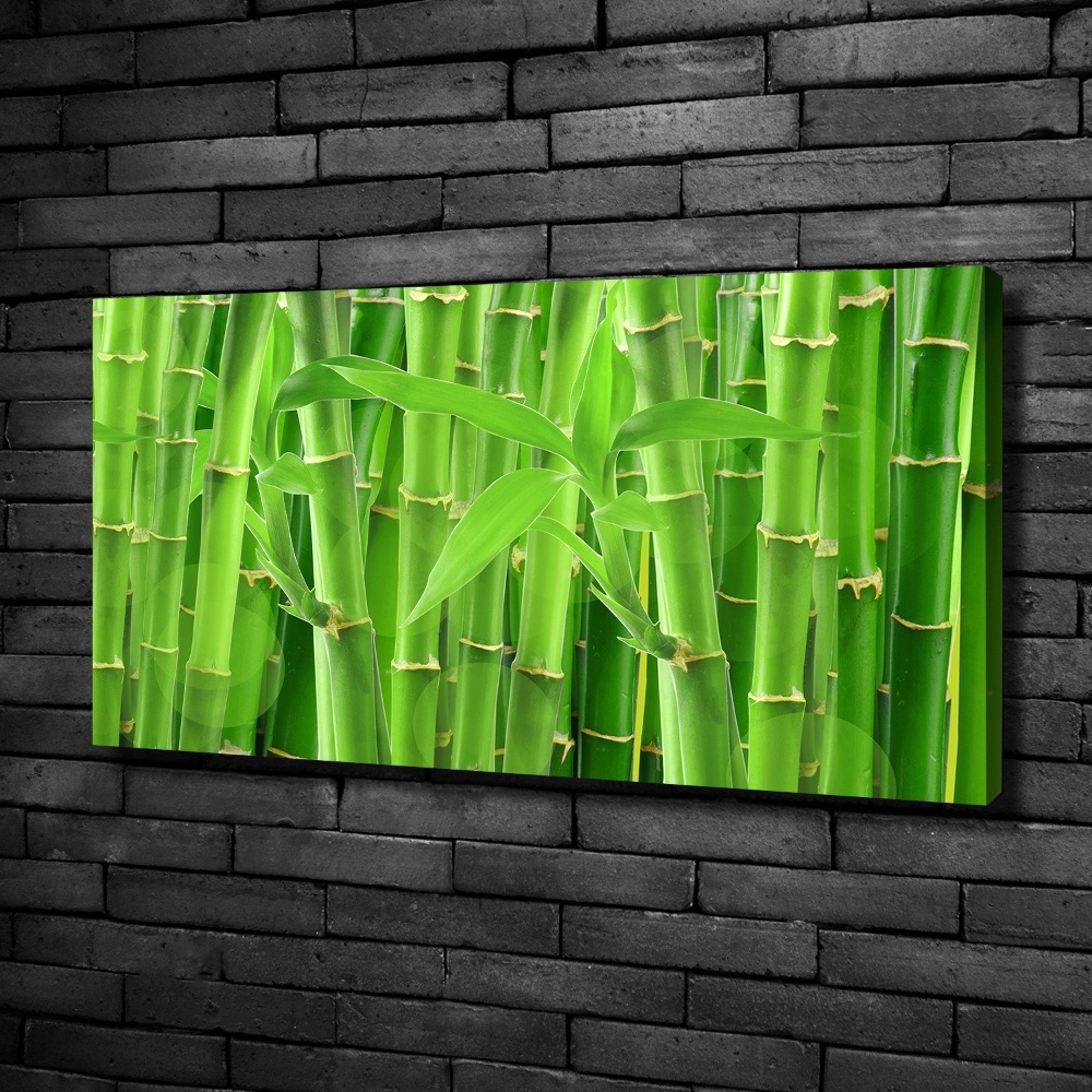 Canvas wall art Bamboo