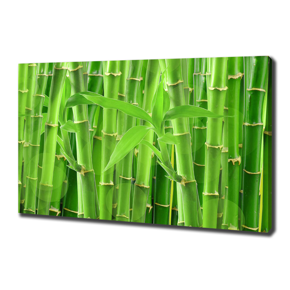 Canvas wall art Bamboo