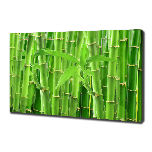 Canvas wall art Bamboo