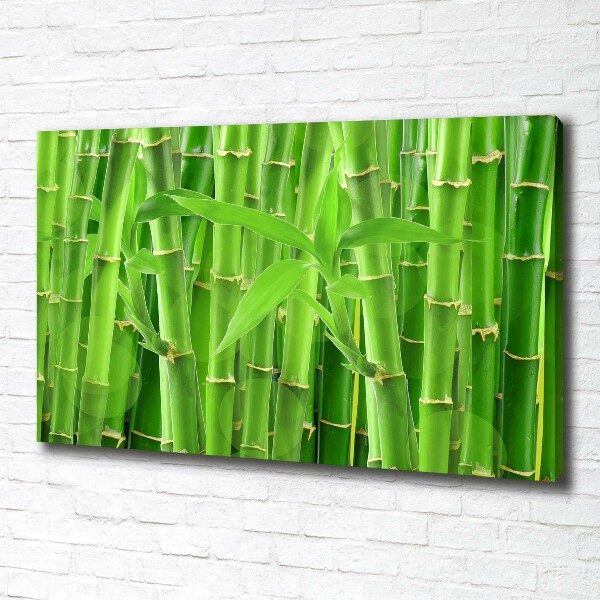 Canvas wall art Bamboo