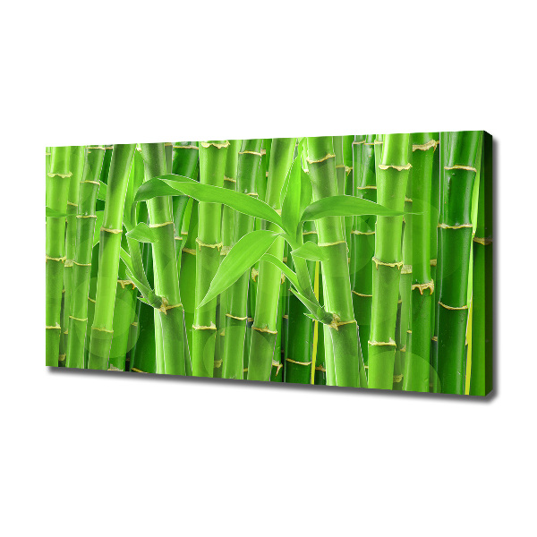 Canvas wall art Bamboo