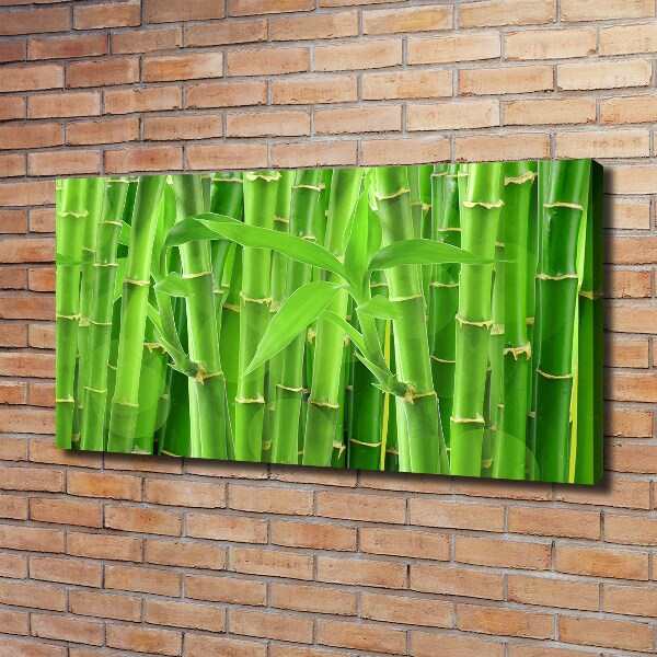 Canvas wall art Bamboo