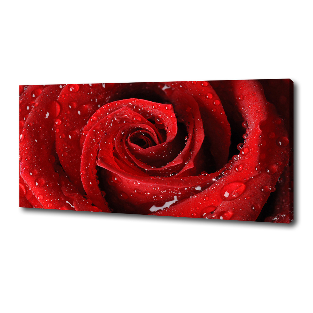 Canvas wall art Rose drops