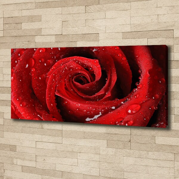 Canvas wall art Rose drops