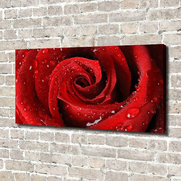 Canvas wall art Rose drops