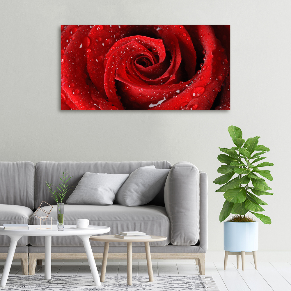 Canvas wall art Rose drops