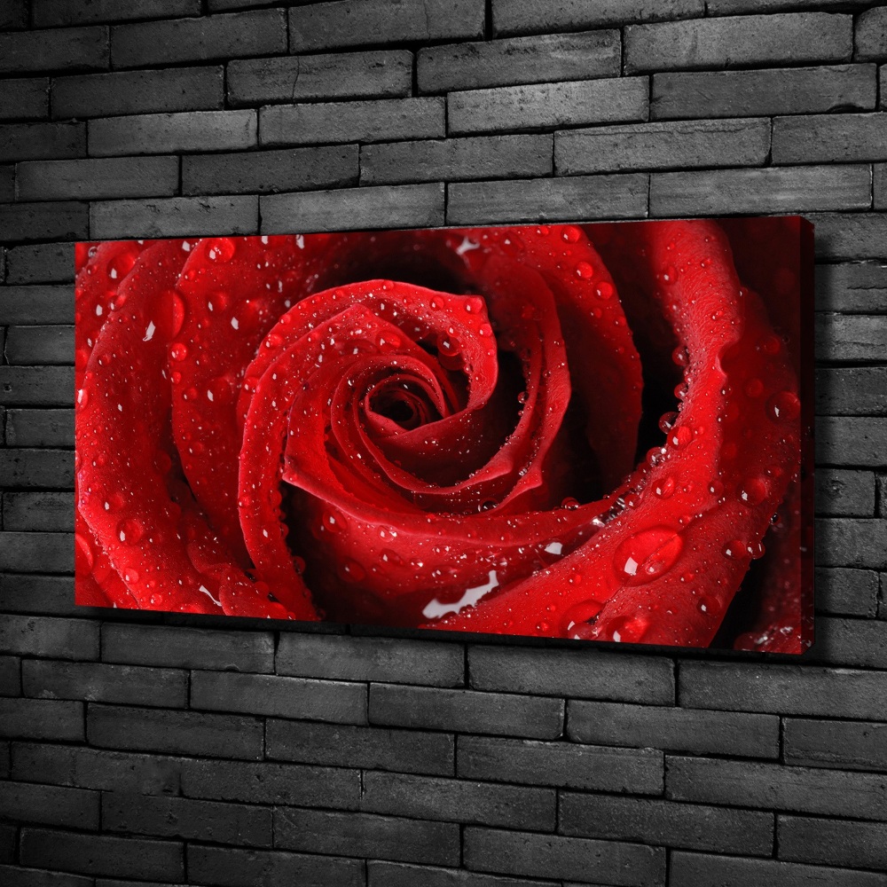 Canvas wall art Rose drops