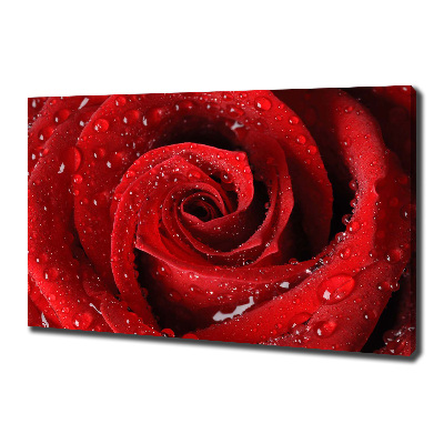 Canvas wall art Rose drops