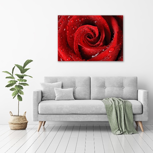 Canvas wall art Rose drops