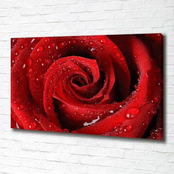 Canvas wall art Rose drops