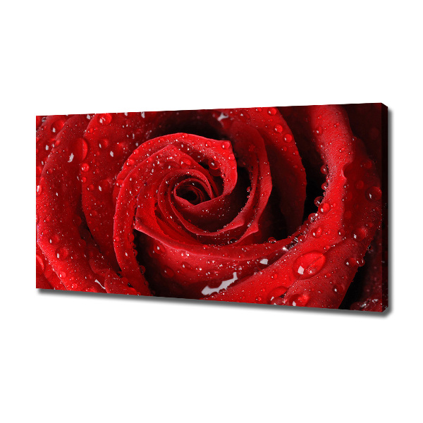 Canvas wall art Rose drops