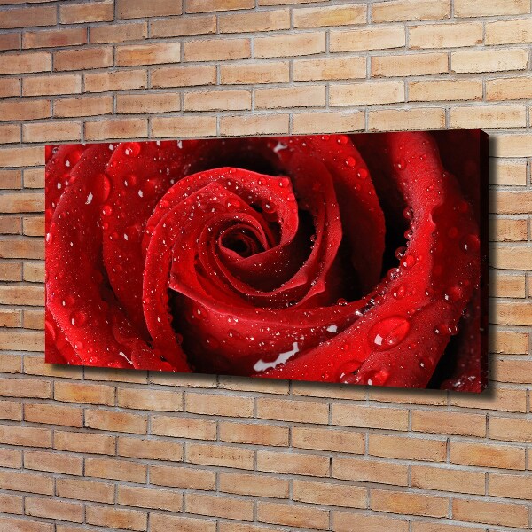 Canvas wall art Rose drops