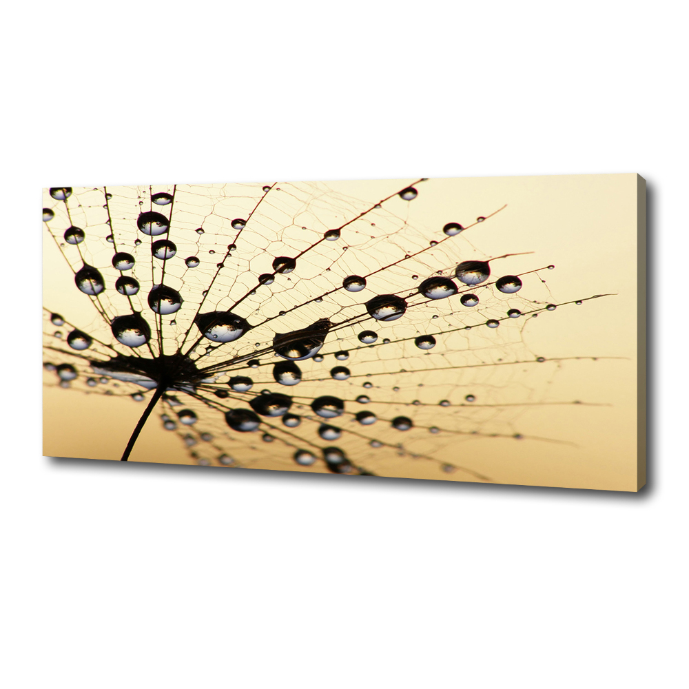 Canvas wall art Dandelion seed