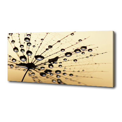 Canvas wall art Dandelion seed