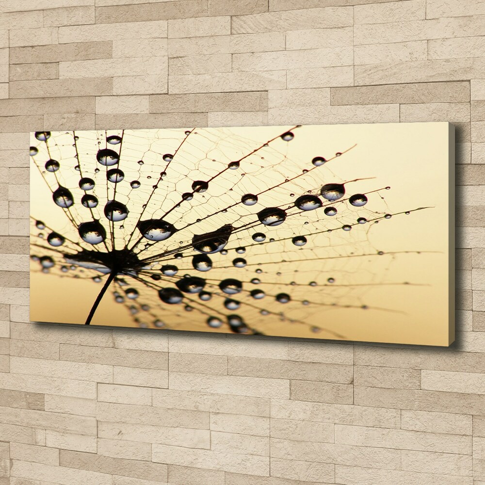 Canvas wall art Dandelion seed