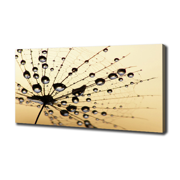 Canvas wall art Dandelion seed