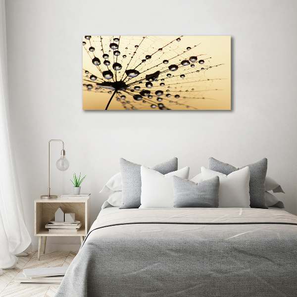 Canvas wall art Dandelion seed